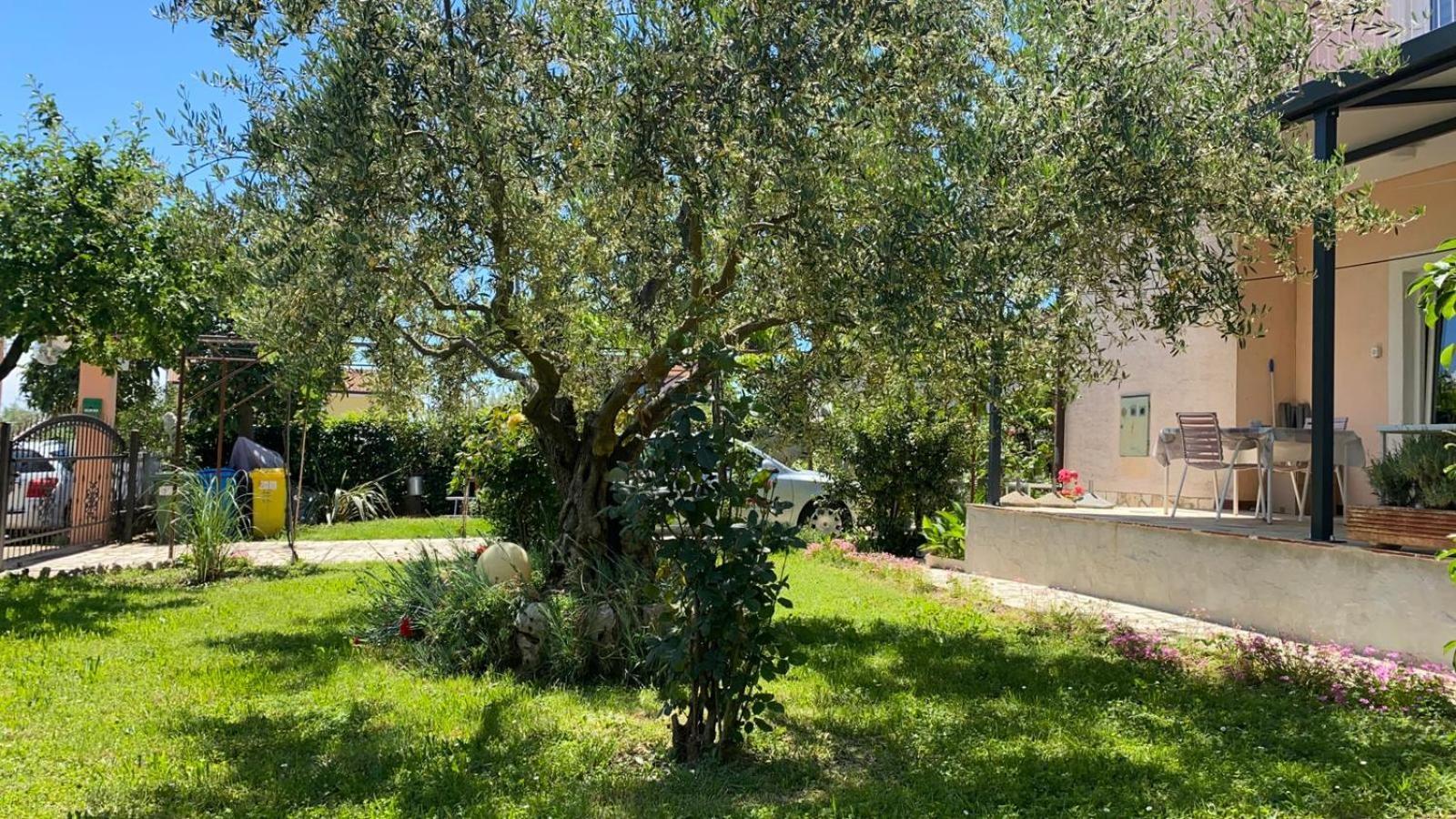 Apartment Gracijana Poreč Exteriör bild